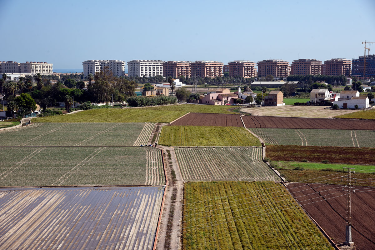Huerta de Valencia con edificios al fondo